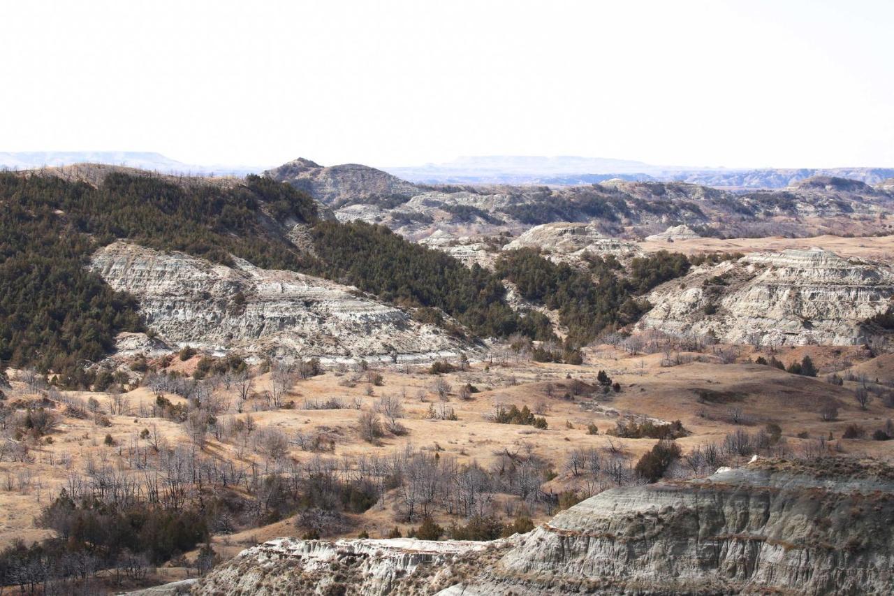 Badlands Suite Less Than 1 Mi To Teddy Roosevelt Park! Medora Dış mekan fotoğraf