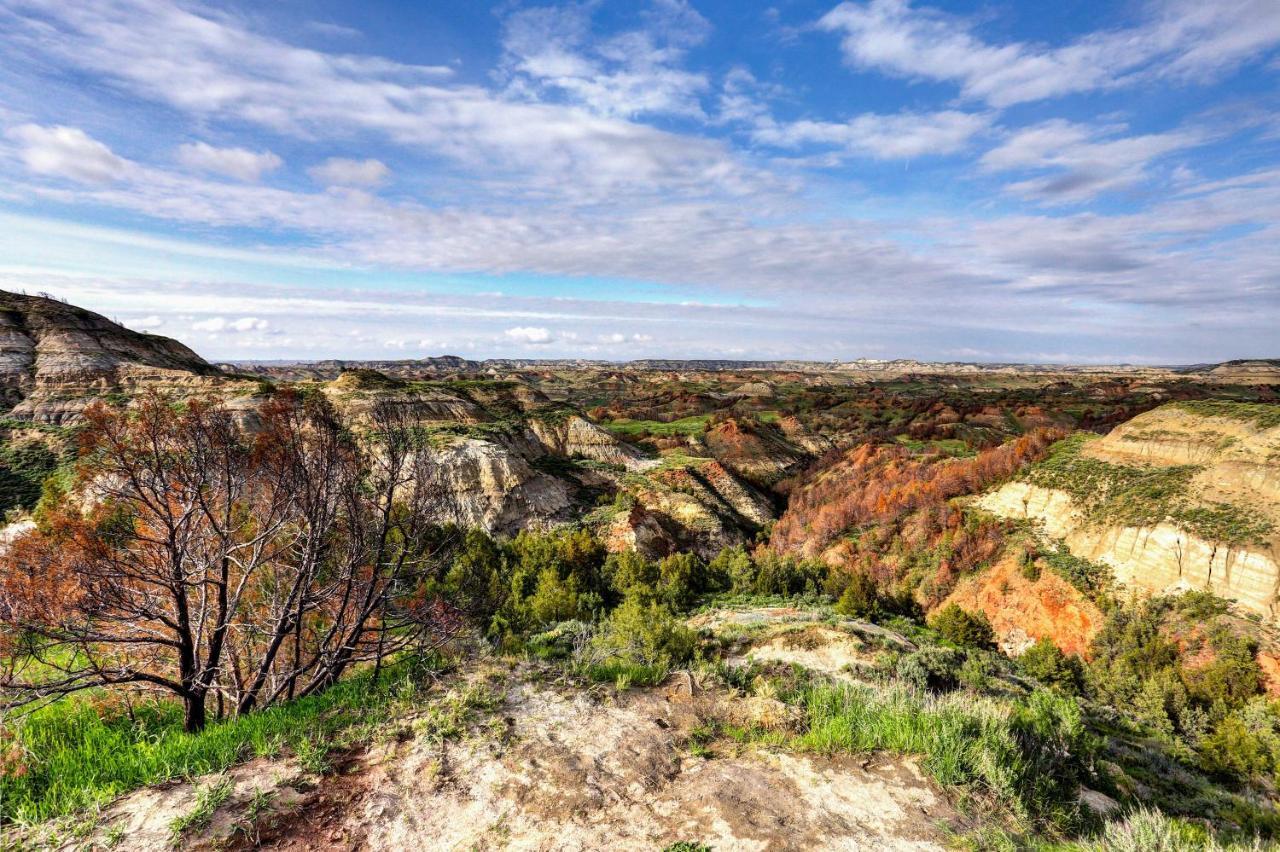 Badlands Suite Less Than 1 Mi To Teddy Roosevelt Park! Medora Dış mekan fotoğraf