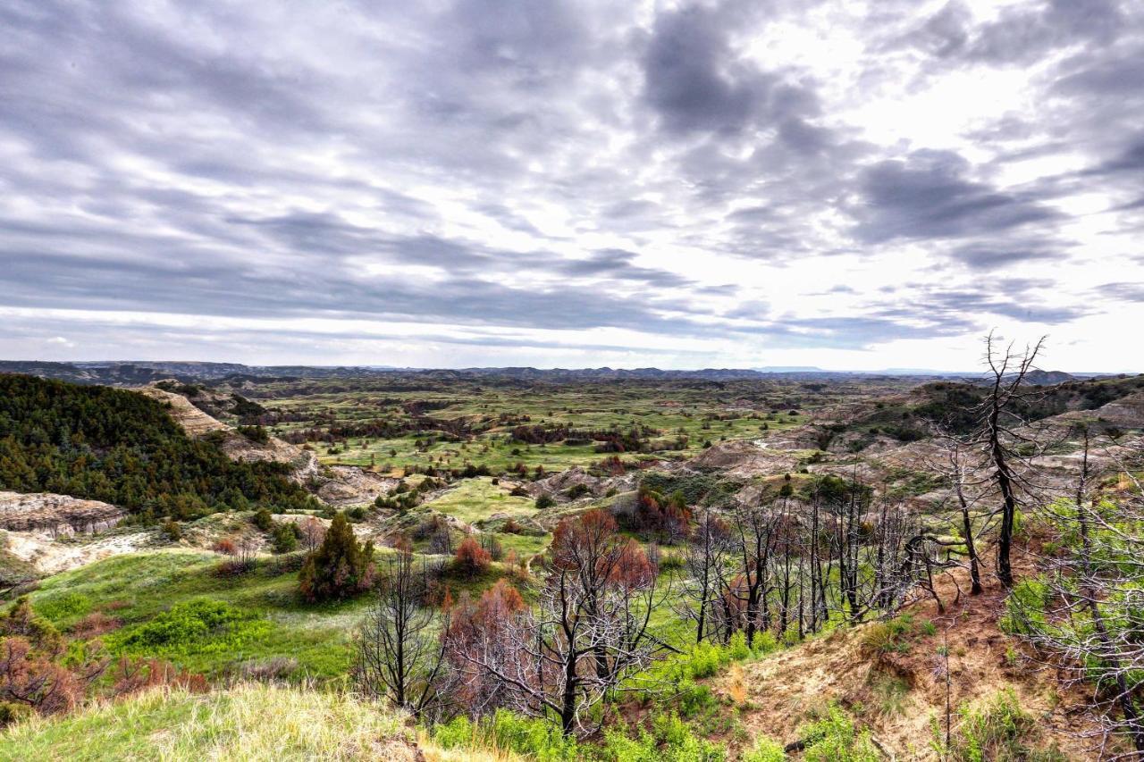 Badlands Suite Less Than 1 Mi To Teddy Roosevelt Park! Medora Dış mekan fotoğraf